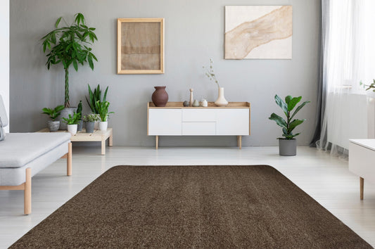 Dark Chocolate Brown Area Rug in living room
