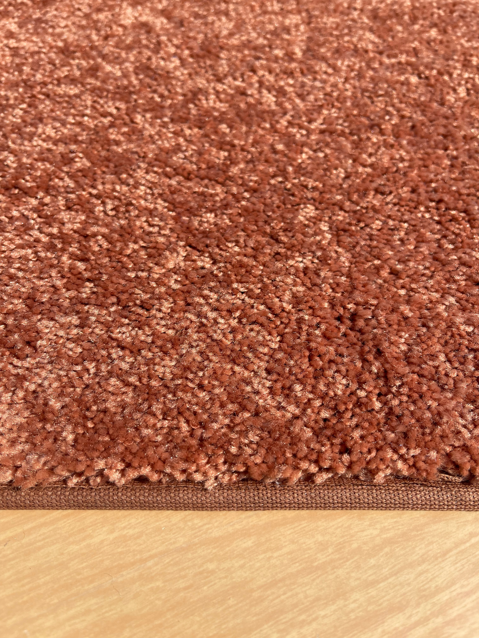 Copper Penny Area Rug side view in living room