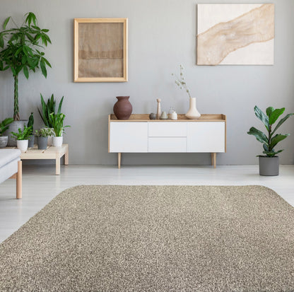 Mingled Beige Frieze Area Rug in living room