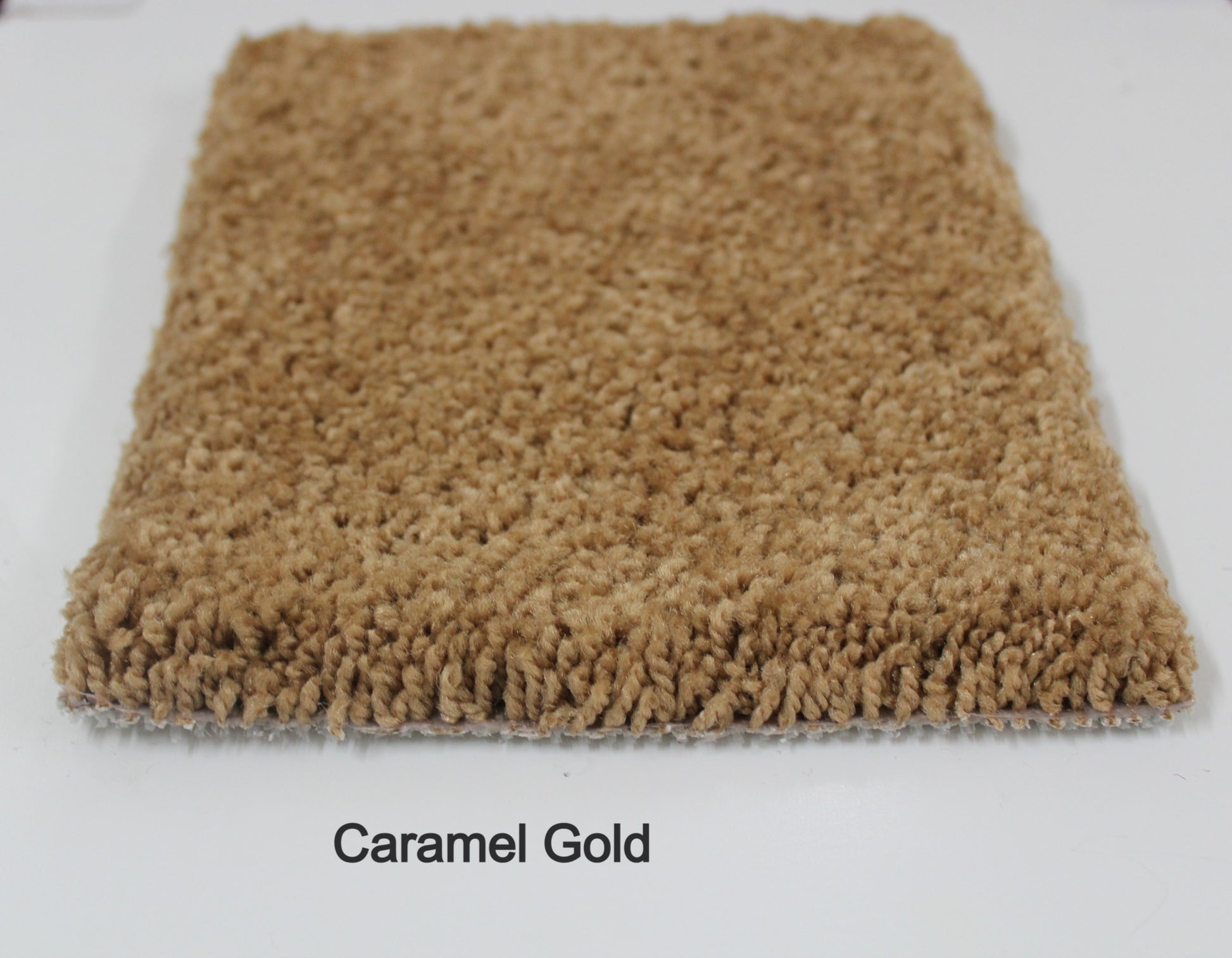 Caramel Gold Area Rug sample
