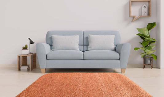 Copper Penny Area Rug in living room