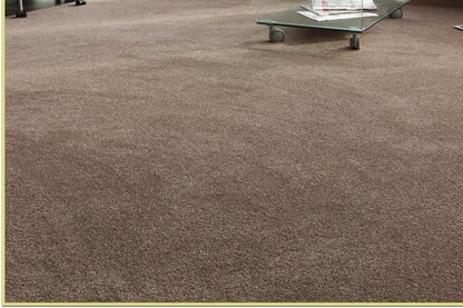 Winter Brown Area Rug side view with home decor